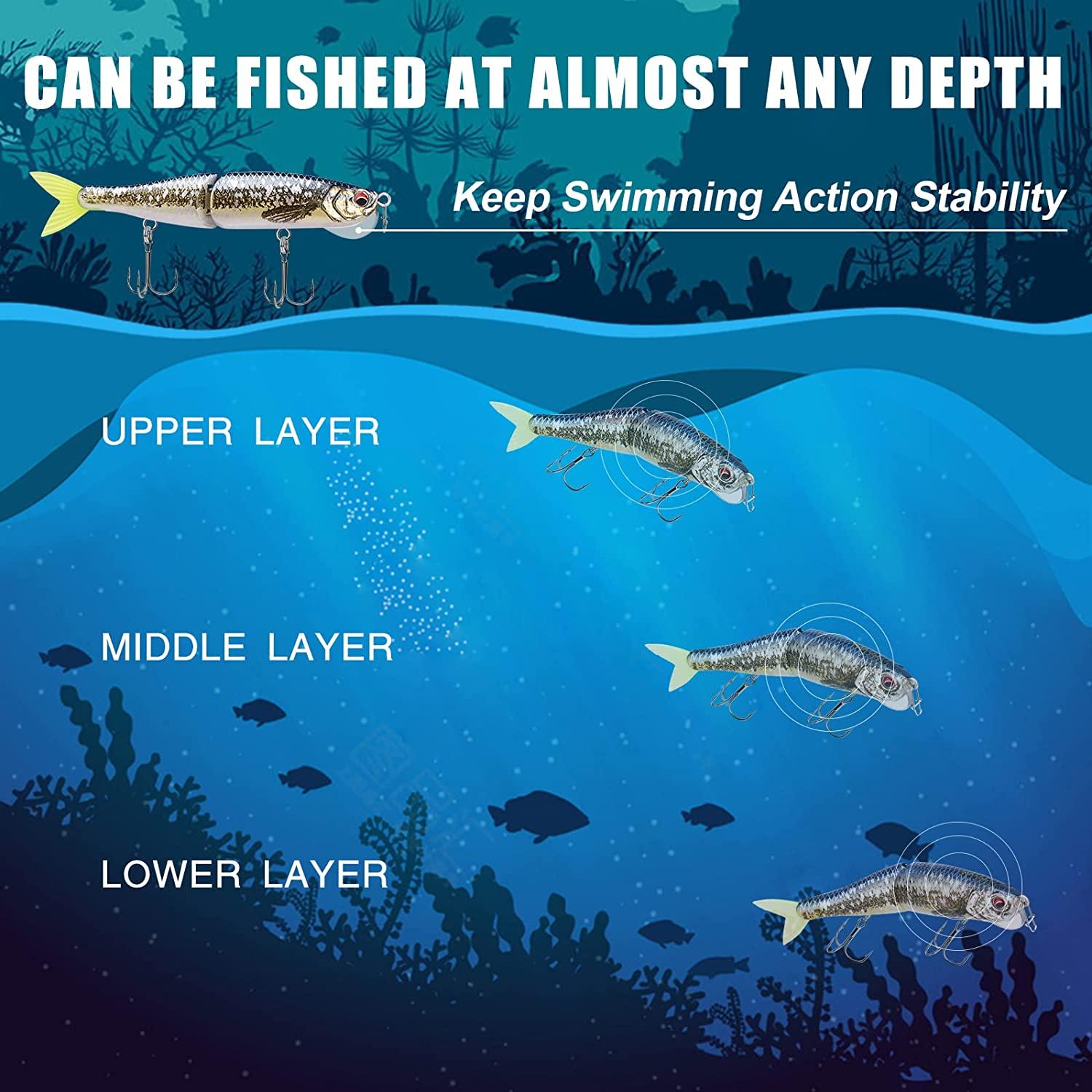 TRUSCEND Glide Bait Swimbait Lure Vertical Tongue - Truscend Fishing